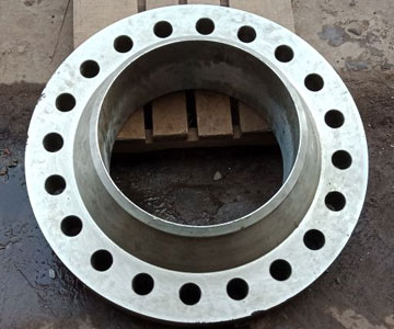 S.S. Flanges