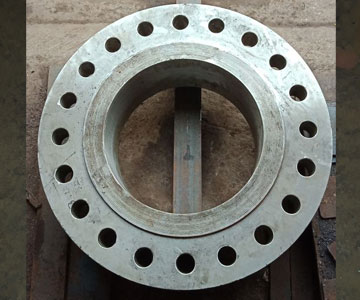 S.S. Flanges